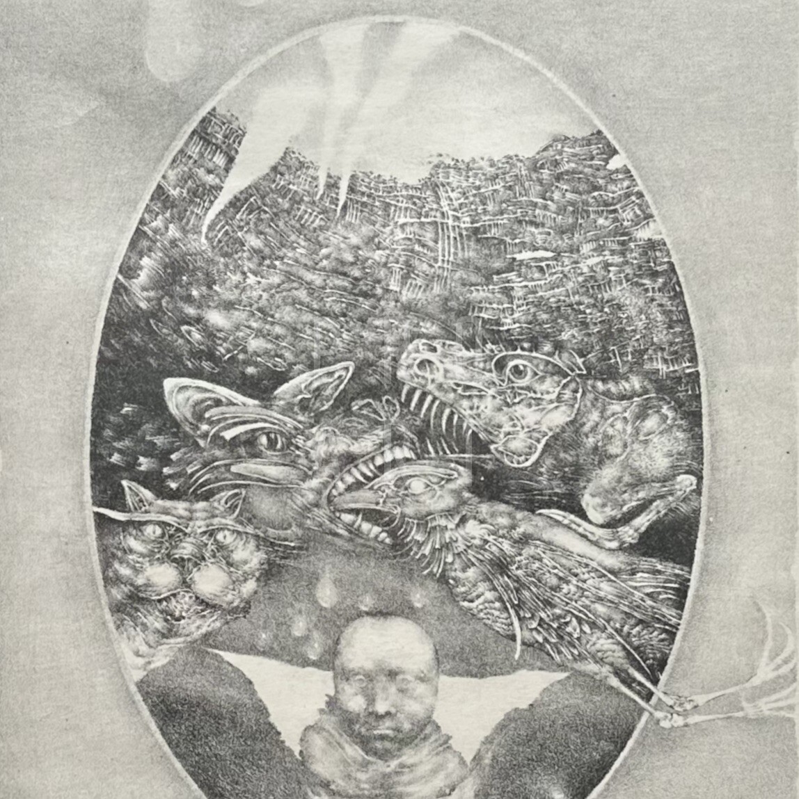 PF 1972