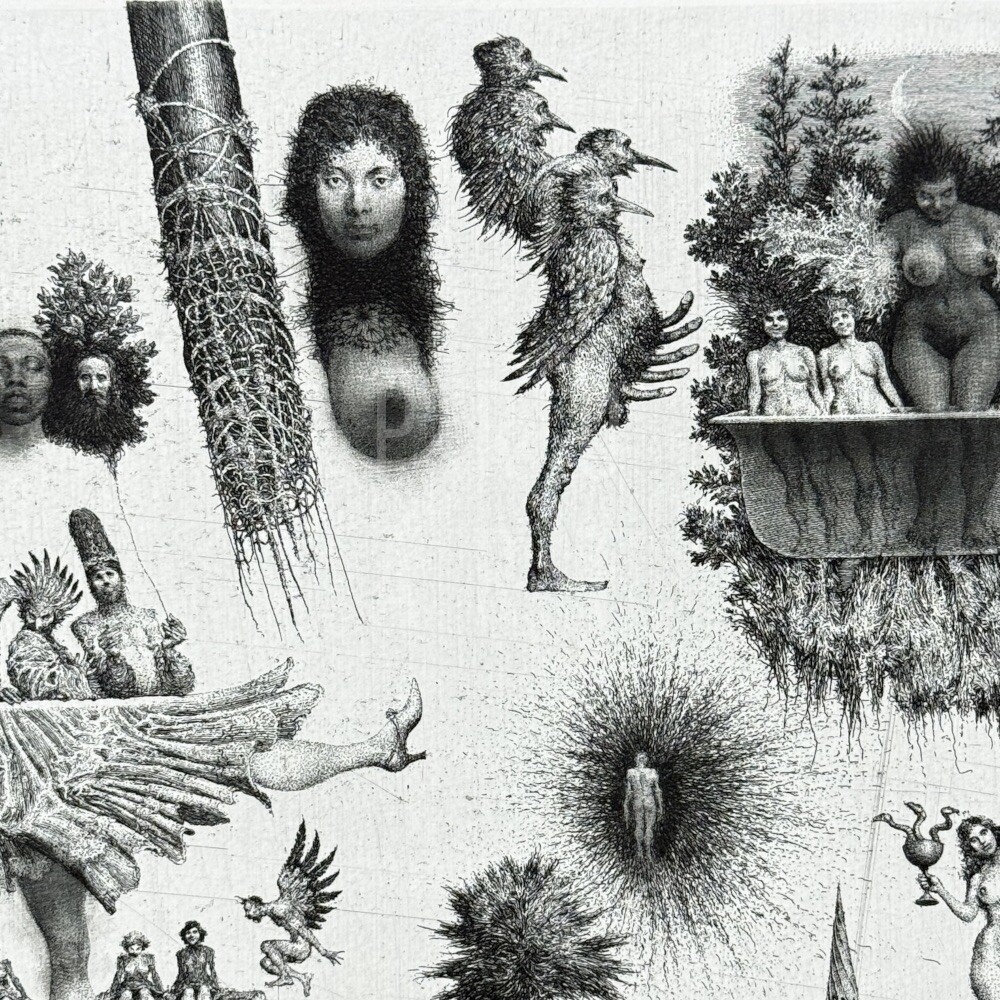 Lob der Verwirrten Träume VIII.